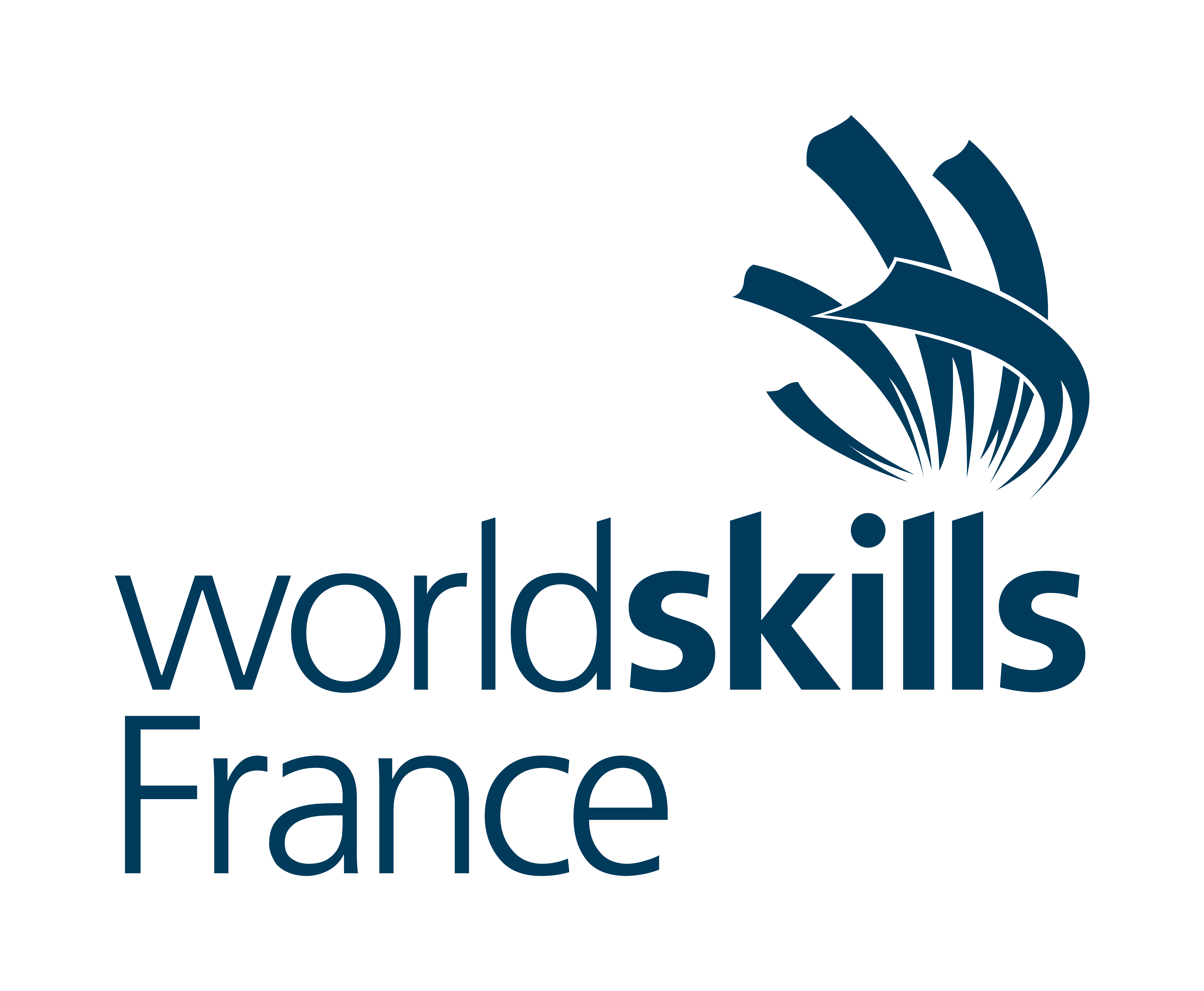 Logo_WS_France_PMS302_RGB-01